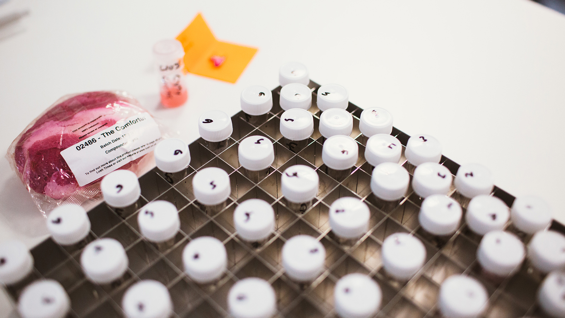 XCellR8 cell culture testing Lush Fresh Handmade Cosmetics UK